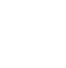 Butterfly Logo